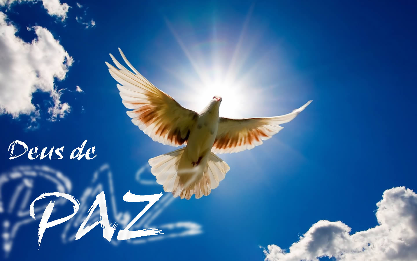 A paz no Senhor